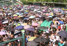 「光復屯門公園」上訴得直
