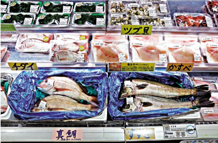 俄羅斯政府宣佈對日本海產品實施進口禁令