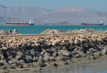 伊朗官員稱計畫對通過霍爾木茲海峽船隻實施准入和收費制度
