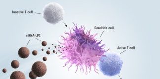 mRNA 癌症免疫療法,取得重要進展